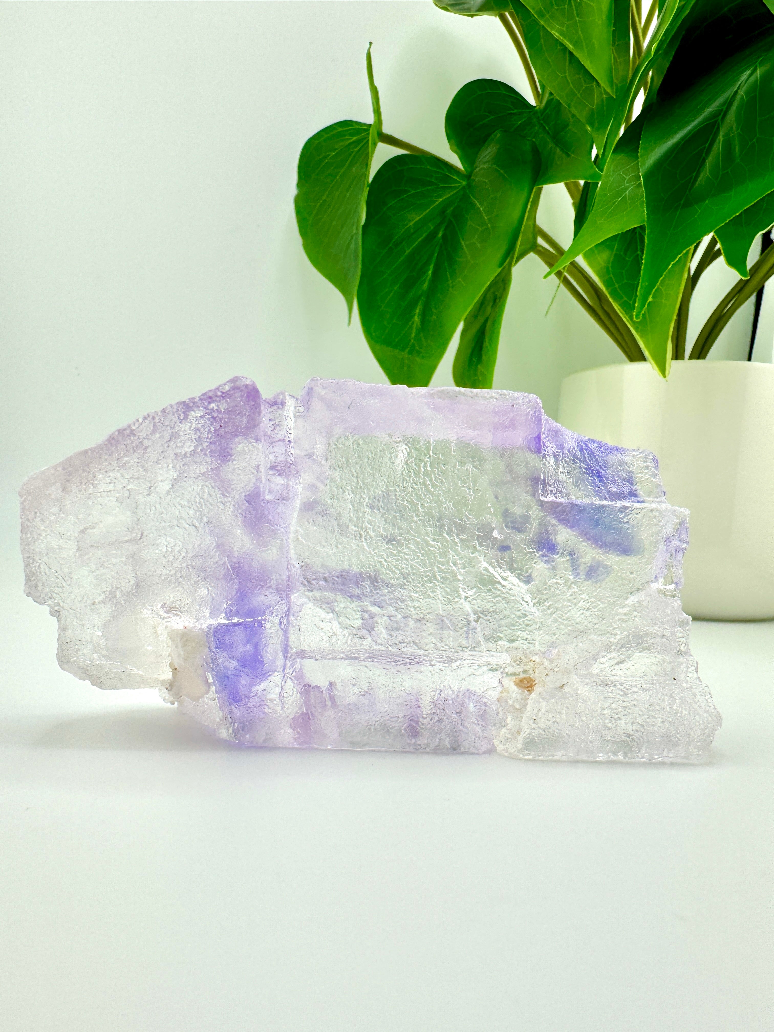 Purple Halite